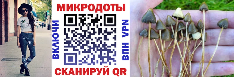 Псилоцибиновые грибы Magic Shrooms  blacksprut сайт  Моздок 